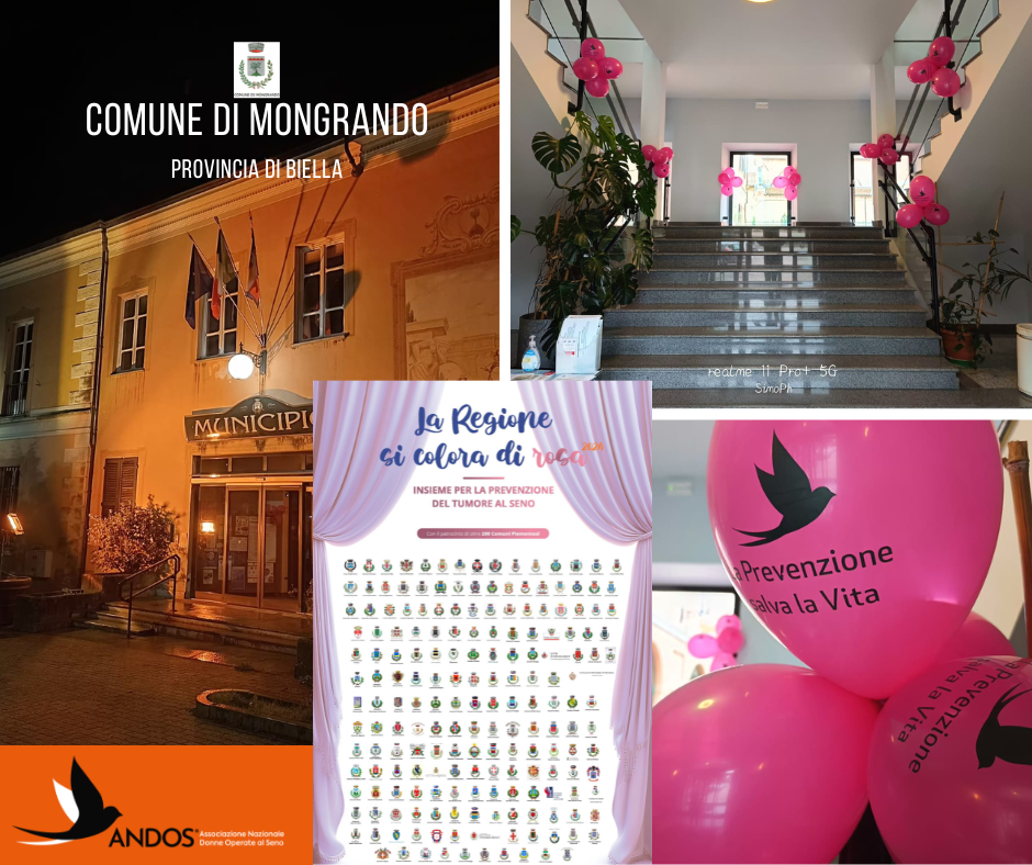 Immagini del Municipio illuminato per la campagna La Regione si Colora di Rosa - Insieme per la Prevenzione del Tumore al Seno