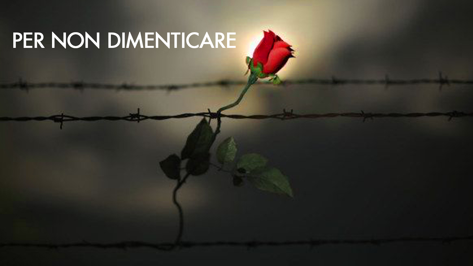 Bandiere a mezz'asta